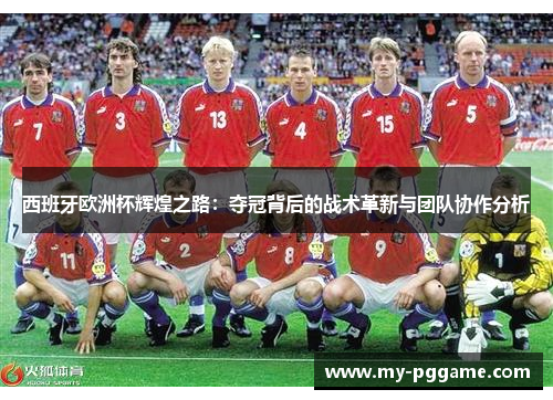 西班牙欧洲杯辉煌之路：夺冠背后的战术革新与团队协作分析
