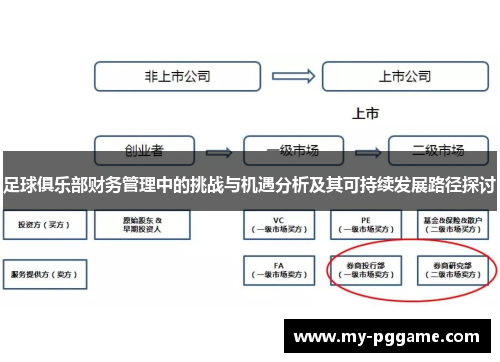 足球俱乐部财务管理中的挑战与机遇分析及其可持续发展路径探讨