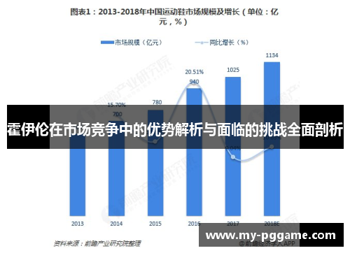 霍伊伦在市场竞争中的优势解析与面临的挑战全面剖析
