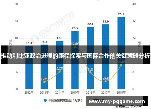 推动利比亚政治进程的路径探索与国际合作的关键策略分析