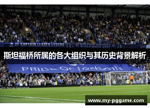 斯坦福桥所属的各大组织与其历史背景解析