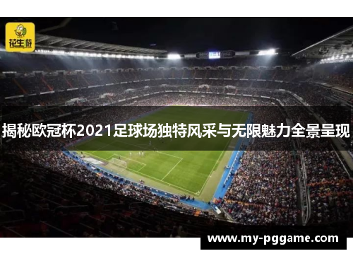 揭秘欧冠杯2021足球场独特风采与无限魅力全景呈现